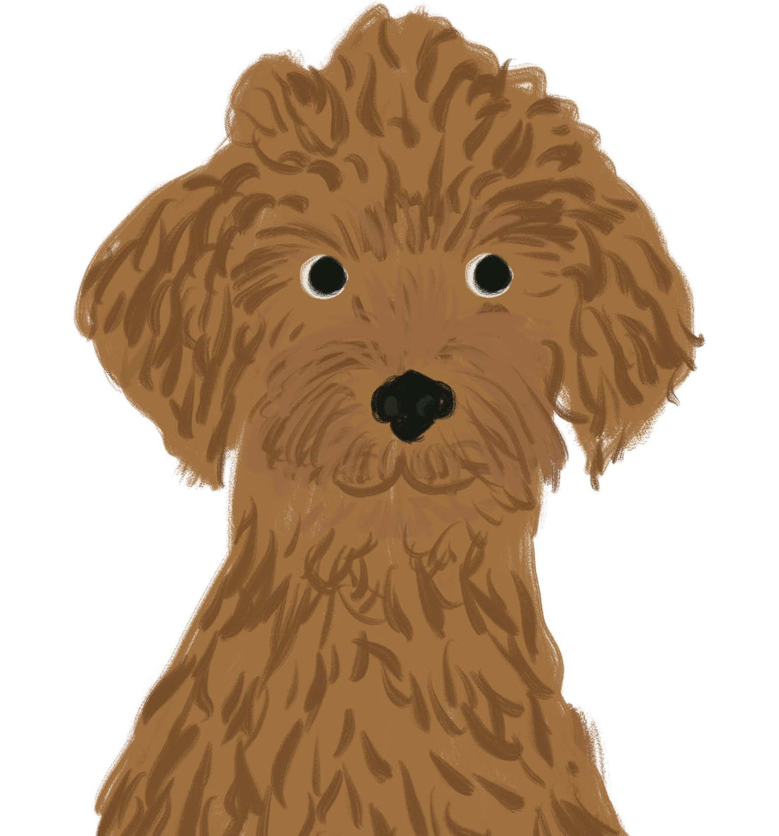 Pooch Collection – Dots and Doodles Design