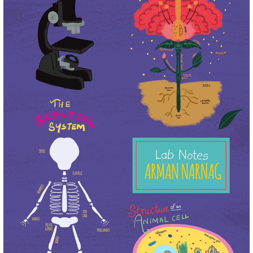 Formula Folder Science Design Science Personalised Folder | Dots & Doodles – Dots and Doodles Design